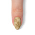 VIM_almond