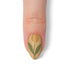 VIM_almond