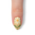 VIM_almond