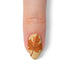 VIM_almond