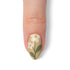 VIM_almond