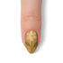 VIM_almond