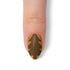 VIM_almond