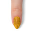 VIM_almond