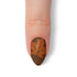 VIM_almond