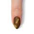 VIM_almond