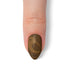 VIM_almond