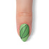 VIM_almond