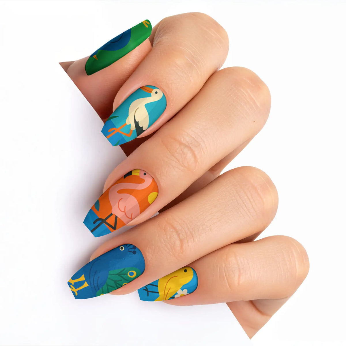 VIM_medium-ballerina