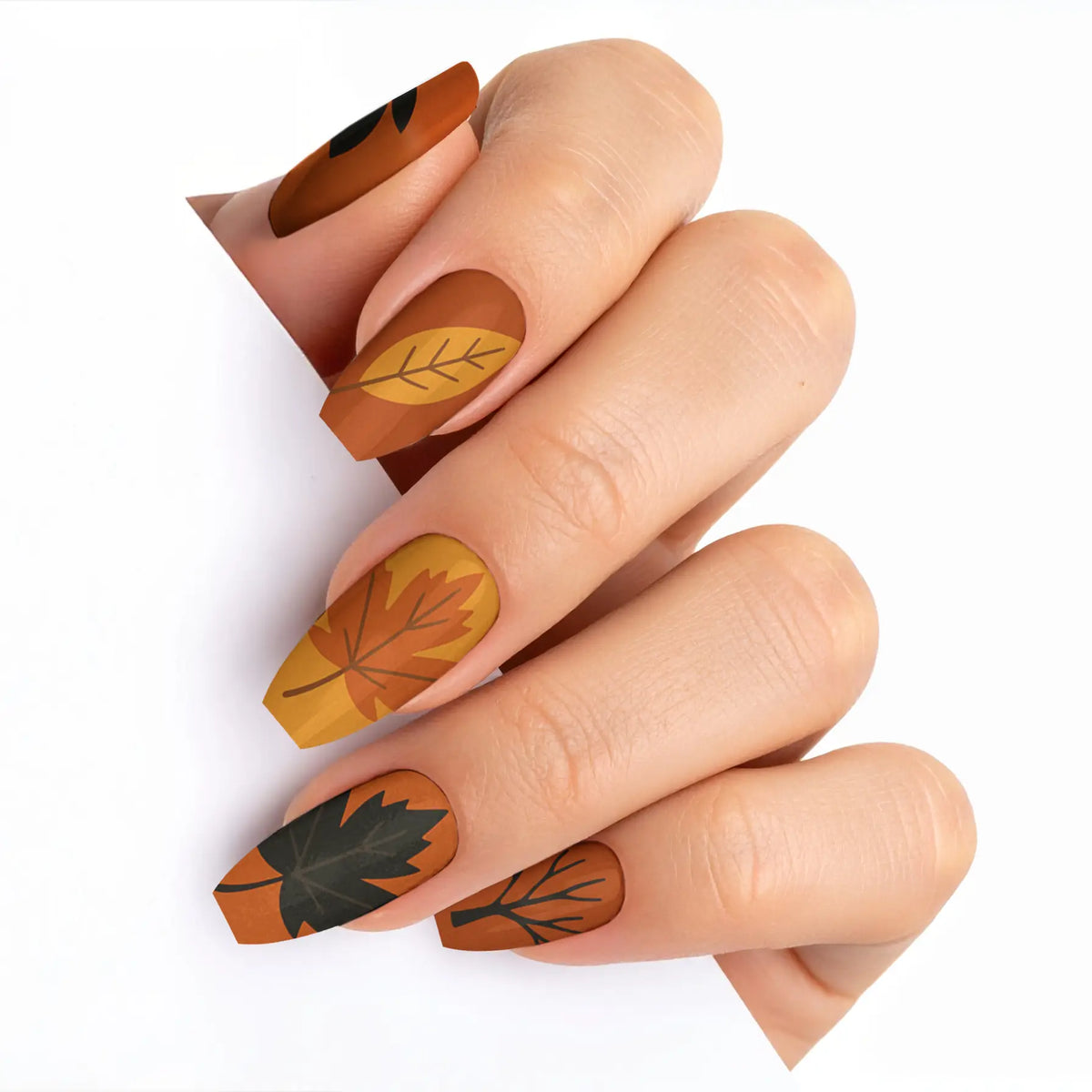 VIM_medium-ballerina