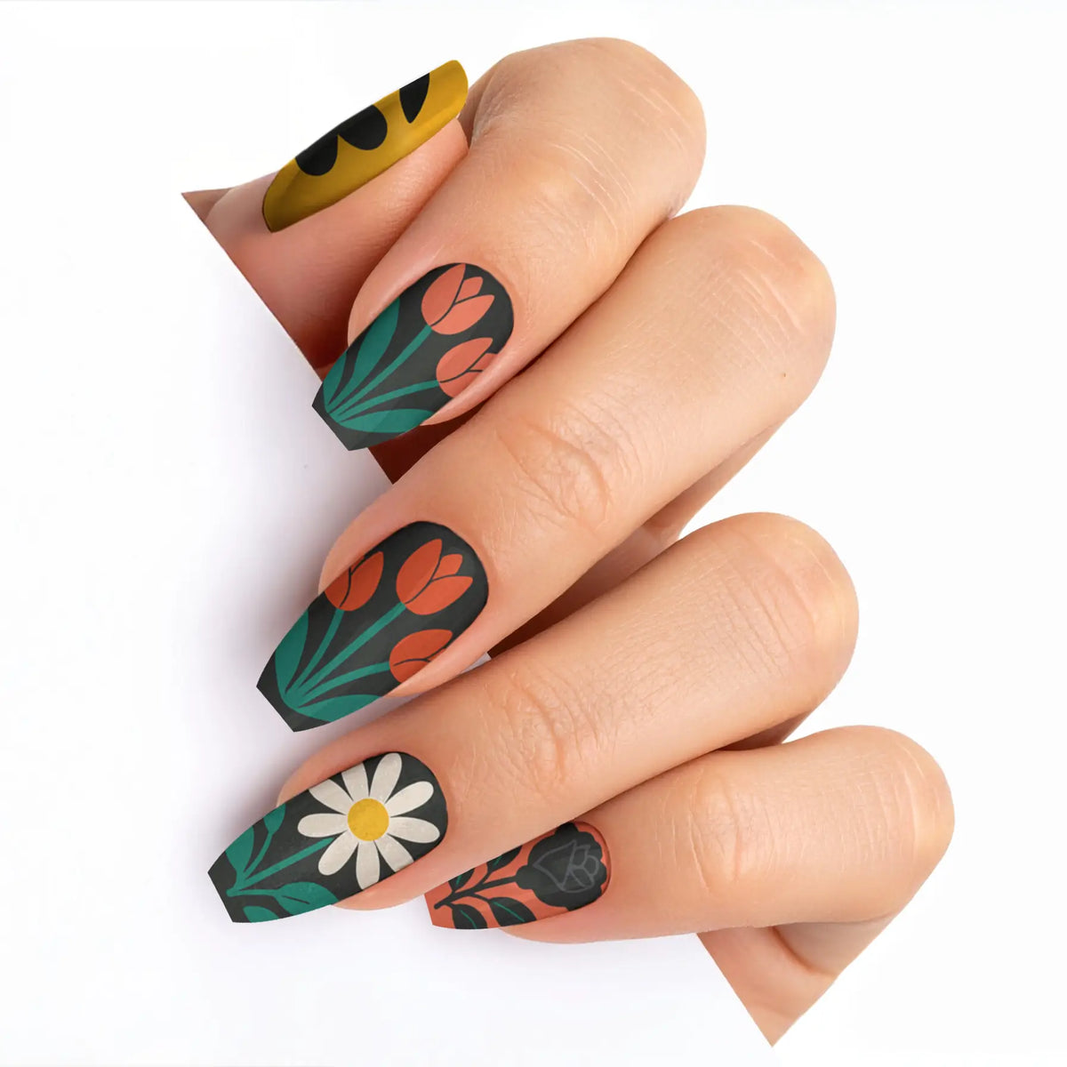 VIM_medium-ballerina