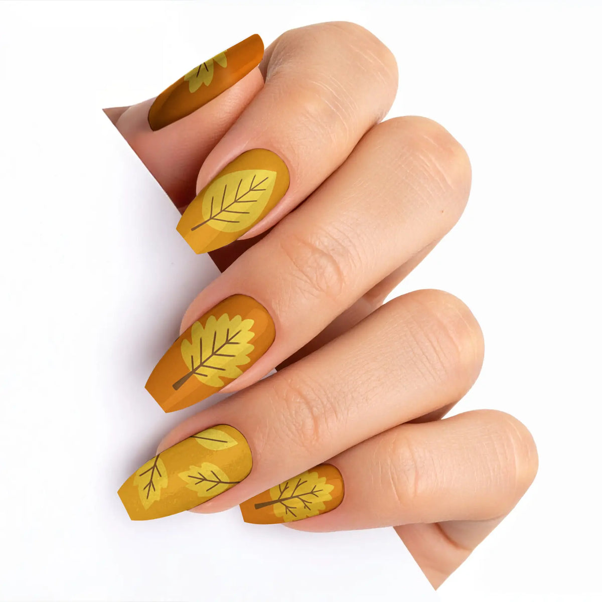 VIM_medium-ballerina