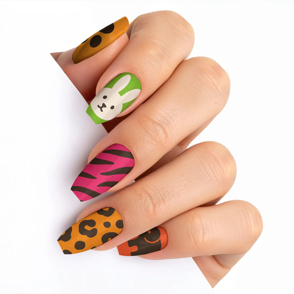 VIM_medium-ballerina