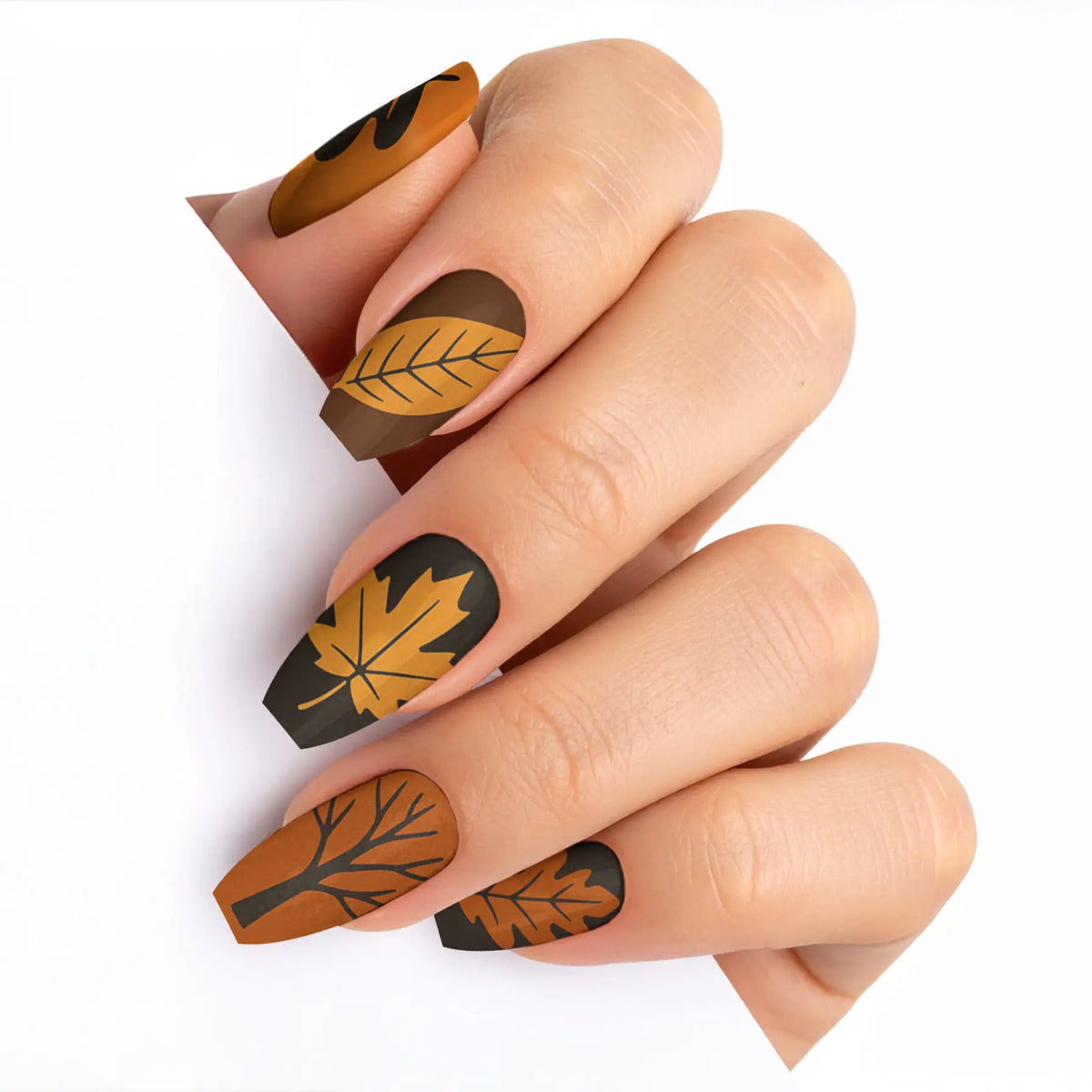 VIM_medium-ballerina