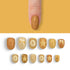 VIM_oval