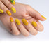 VIM_oval